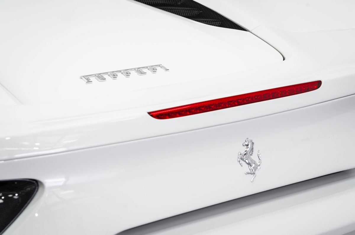 Cavallino and script